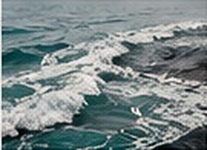 FRESH & MARINE